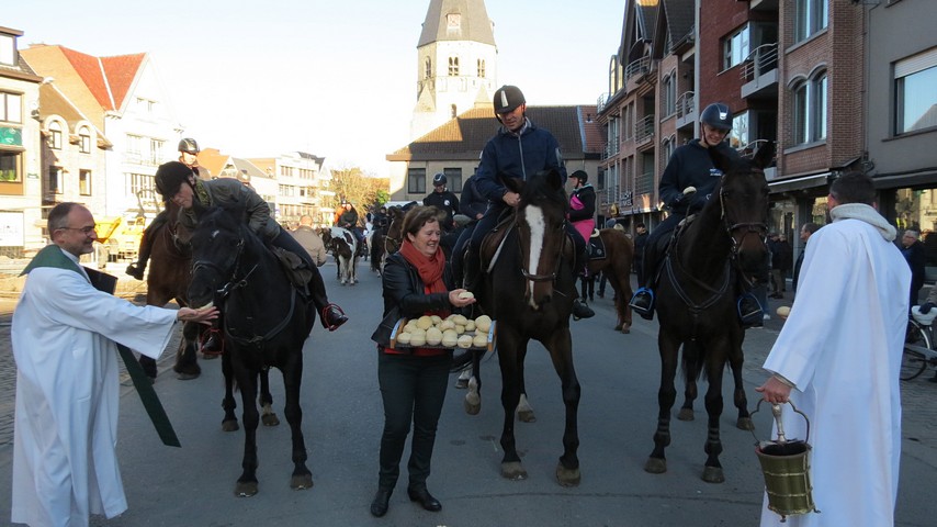 thumbnail-Paardenzegening op 16 oktober