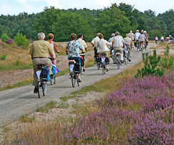 thumbnail-Fietstocht Davidsfonds