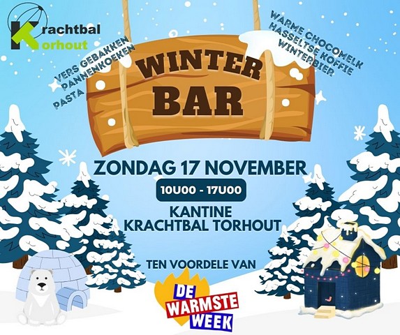 thumbnail-Winterbar krachtbal op 17 november