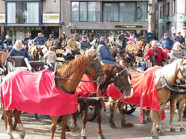 thumbnail-Paardenzegening een succes