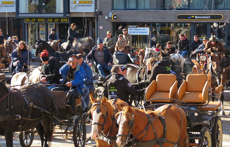 thumbnail-Paardenzegening op 20 oktober