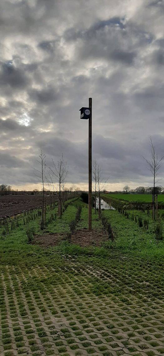 thumbnail-Torenvalknestkast op de Ringaert