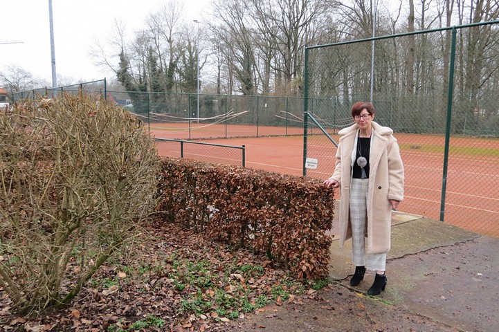 thumbnail-KTG Houtland zoekt vrijwilliger voor onderhoud groen en tennisvelden