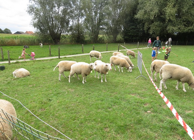 thumbnail-Kerstzoektocht op de kinderboerderij