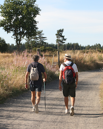 thumbnail-Oliebollentocht Margrietestappers